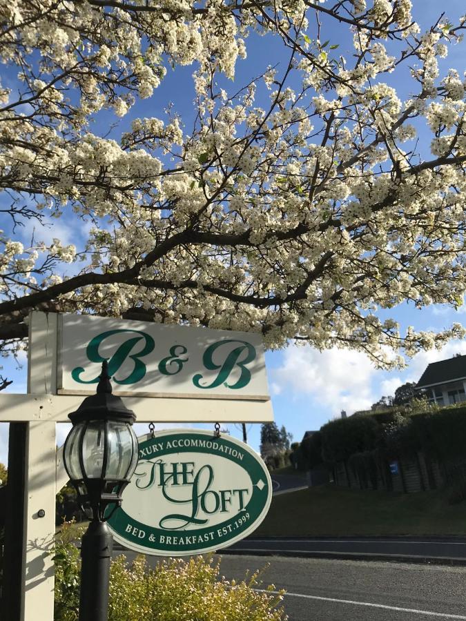 The Loft Bed And Breakfast Taupo Luaran gambar