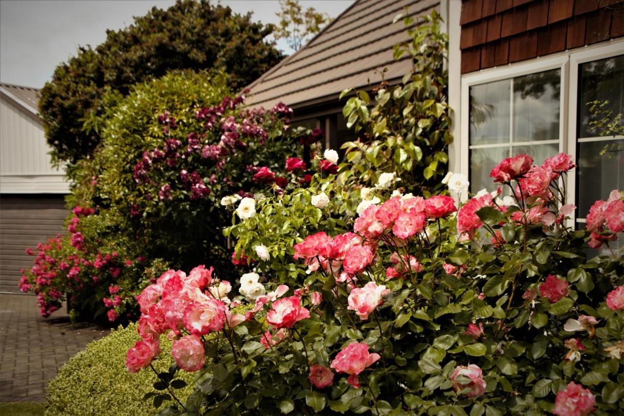 The Loft Bed And Breakfast Taupo Luaran gambar