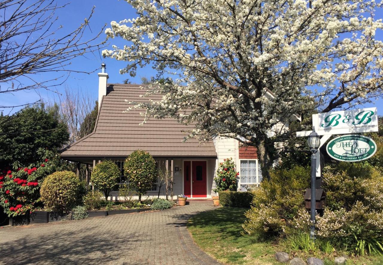 The Loft Bed And Breakfast Taupo Luaran gambar